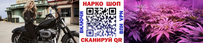 Все наркотики Лодейное Поле СОЛЬ  Псилоцибиновые грибы  Амфетамин  Каннабис  Гашиш  КОКАИН 