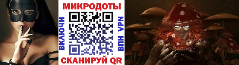 Галлюциногенные грибы Cubensis Лодейное Поле